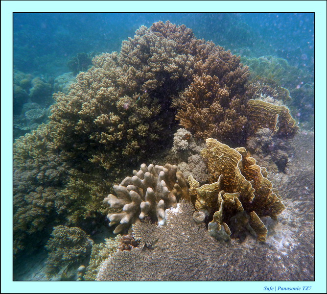 2009    07    Manatabuan 26